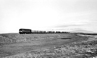 Class 28 Metrovick diesels, 1960s