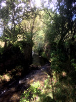 RMJ Birks Bridge Junction via Rowrah to Marron Junction