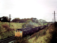 321. SD-095_95 med