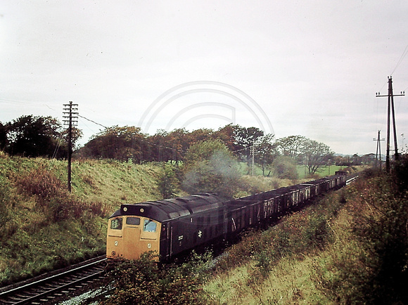 321. SD-095_95 med