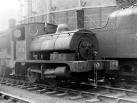 319. LM20-171_171 med