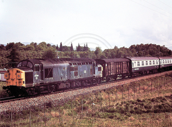 320. SD-080_80 med